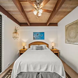  Apartment Newly Upgraded 1br Unit Near Max Of 5 Guests United States